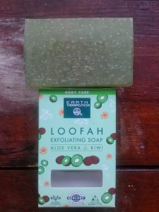 Earth Therapeutics Loofah Exfoliating Aloe Vera & Kiwi Soap